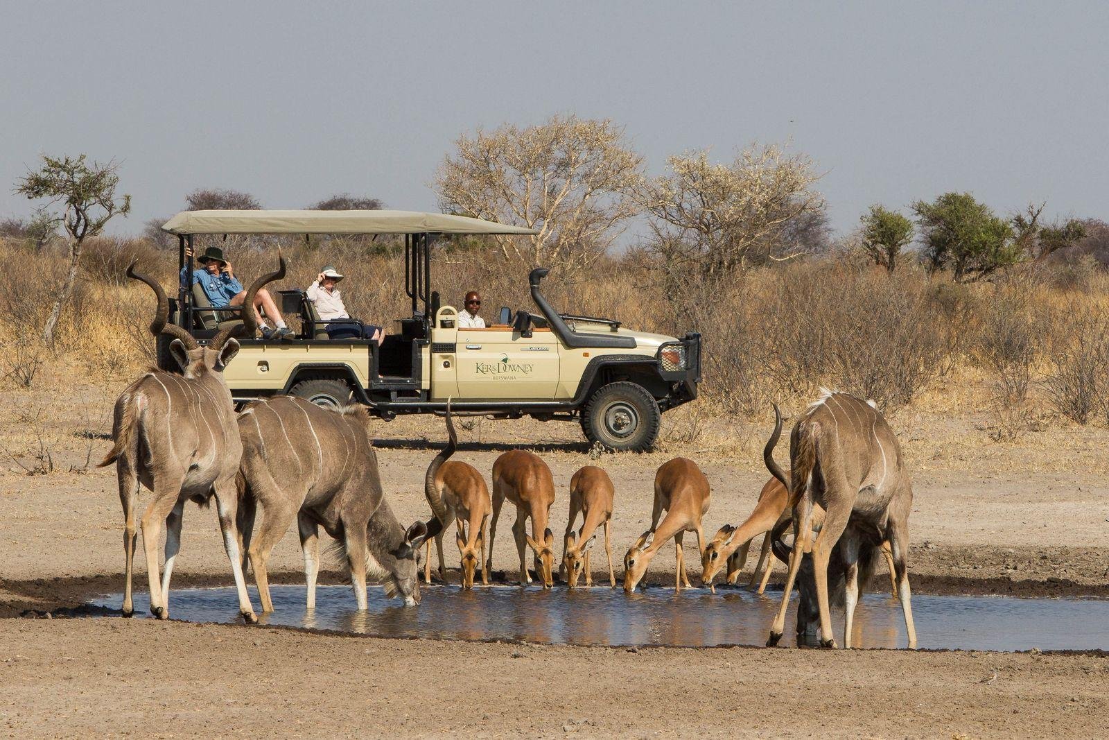 Sports in Botswana