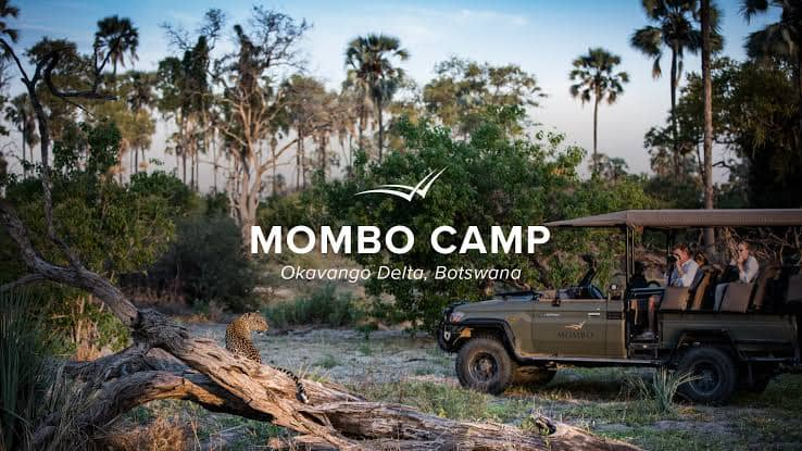 Mombo Camp logo