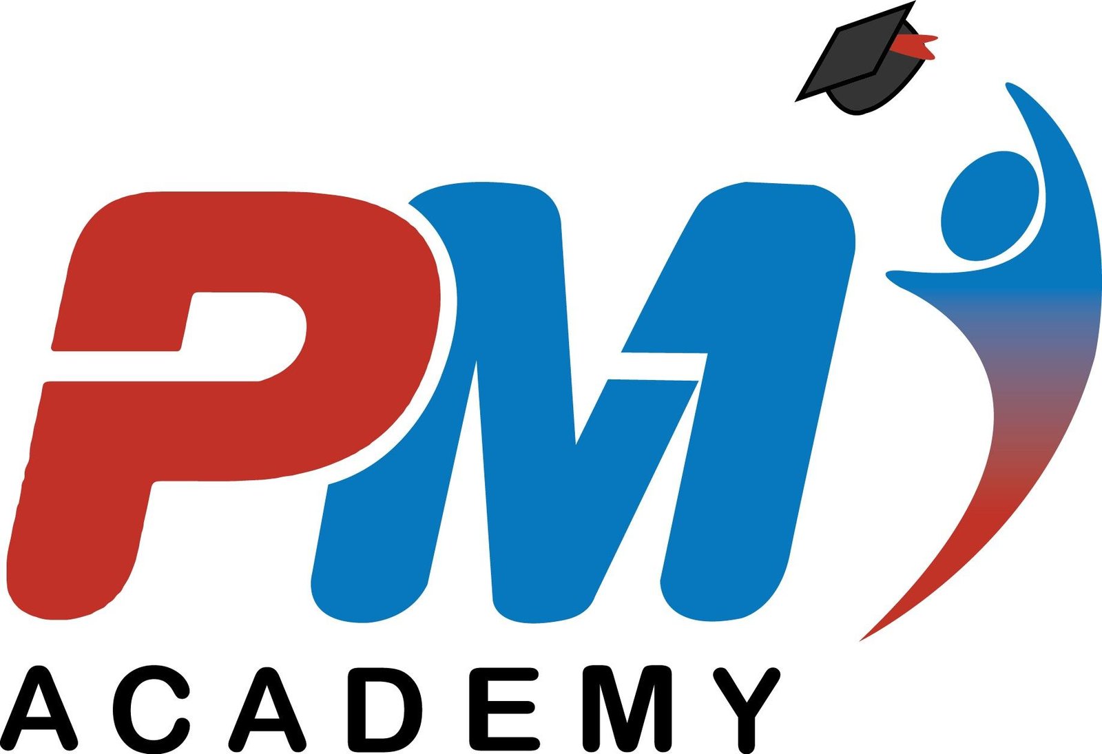 PM Academy Botswana logo